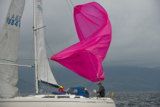 stargazer 4884c whyw17 tues gjmc 7050